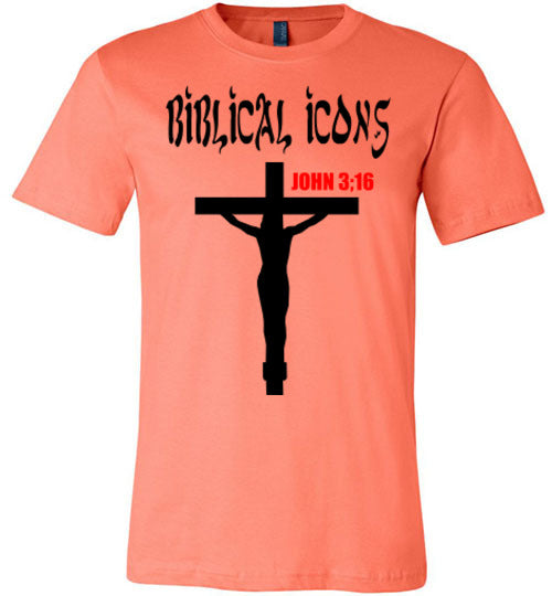 Biblical Icons John 3:16