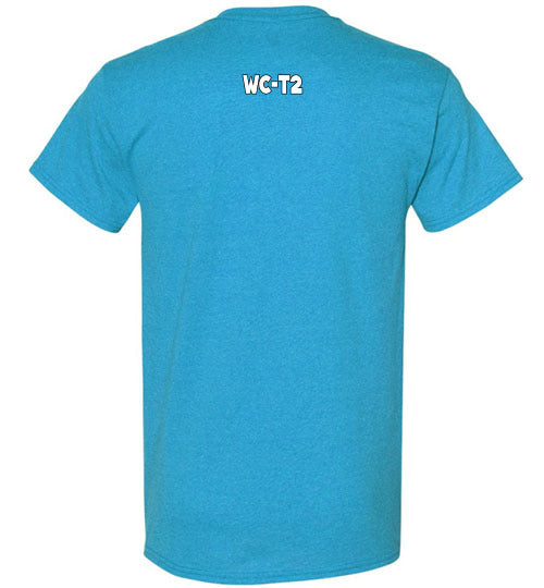 T2