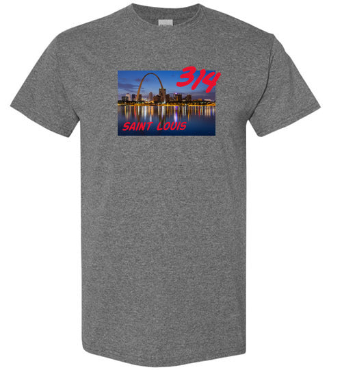 Saint Louis 314