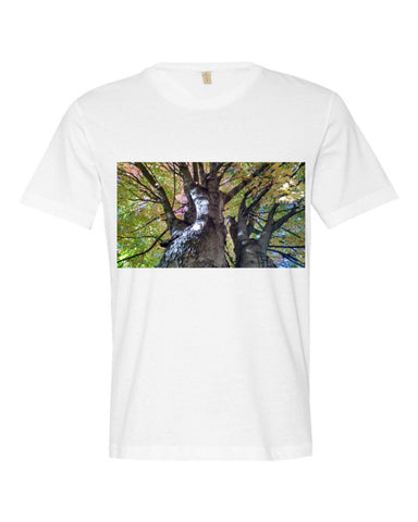 The Man in The Tree By KB - The TeaShirt Co.
