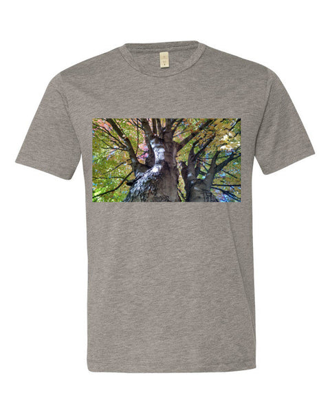 The Man in The Tree By KB - The TeaShirt Co.