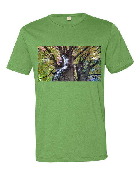 The Man in The Tree By KB - The TeaShirt Co.