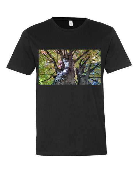 The Man in The Tree By KB - The TeaShirt Co.